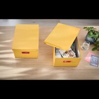 LEITZ Click & Store Cosy Aufbewahrungsbox 18,5 l gelb 28,1 x 37,0 x 20,0 cm, 1 St.