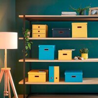 LEITZ Click & Store Cosy Aufbewahrungsbox 18,5 l gelb 28,1 x 37,0 x 20,0 cm, 1 St.