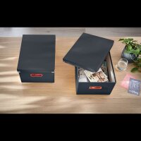 LEITZ Click & Store Cosy Aufbewahrungsbox 18,5 l grau 28,1 x 37,0 x 20,0 cm, 1 St.