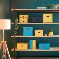LEITZ Click & Store Cosy Aufbewahrungsbox 18,5 l grau 28,1 x 37,0 x 20,0 cm, 1 St.